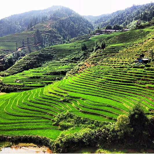 Half Day Sapa Tour Ta Phin Village
